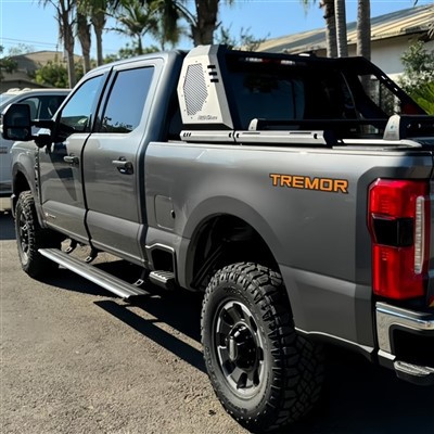 Byrddau Rhedeg Trydan Ford F 150